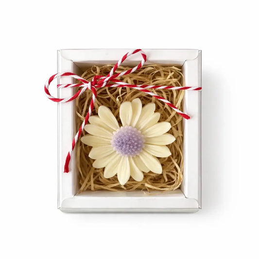 Mărțișor parfumat Margaretă din ceară de soia, Ø6 cm ~16 g, în cutie cadou cu capac transparent – Lunera