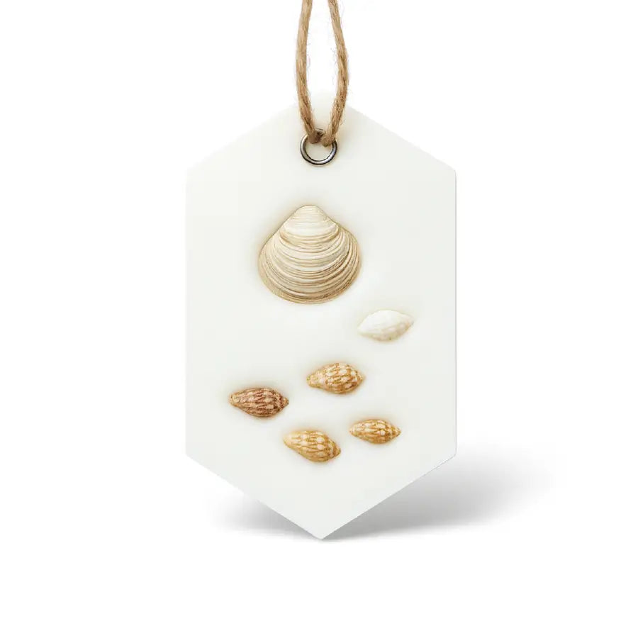 Odorizant de dulap din ceară de soia – Sare de mare & Cocos, 25 g – Lunera (fundal alb)