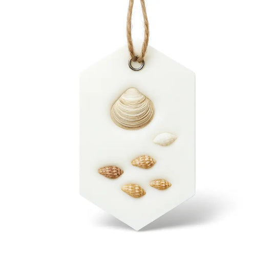 Odorizant de dulap din ceară de soia – Sare de mare & Cocos, 25 g – Lunera (fundal alb)