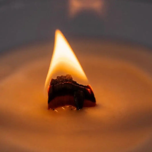 Video – sunetul fitilului din lemn într-o lumânare din ceară de soia Lunera (cadru apropiat al flăcării)